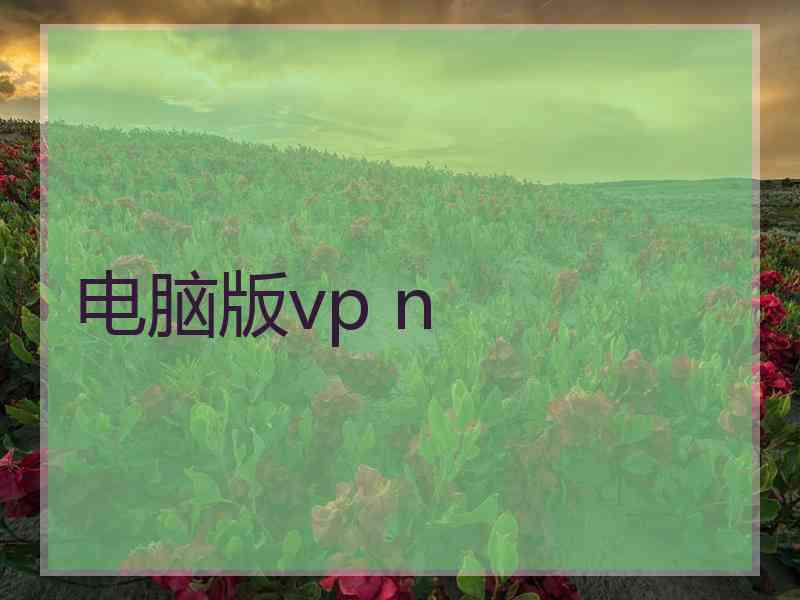 电脑版vp n