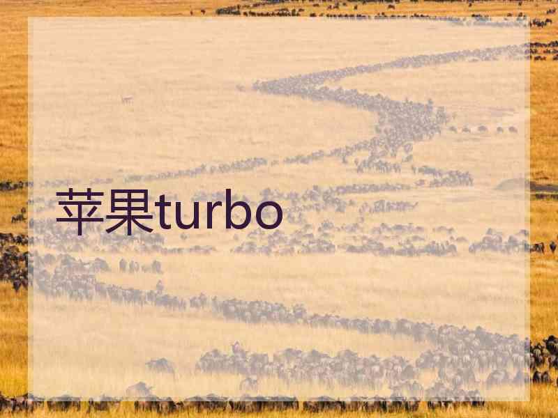 苹果turbo