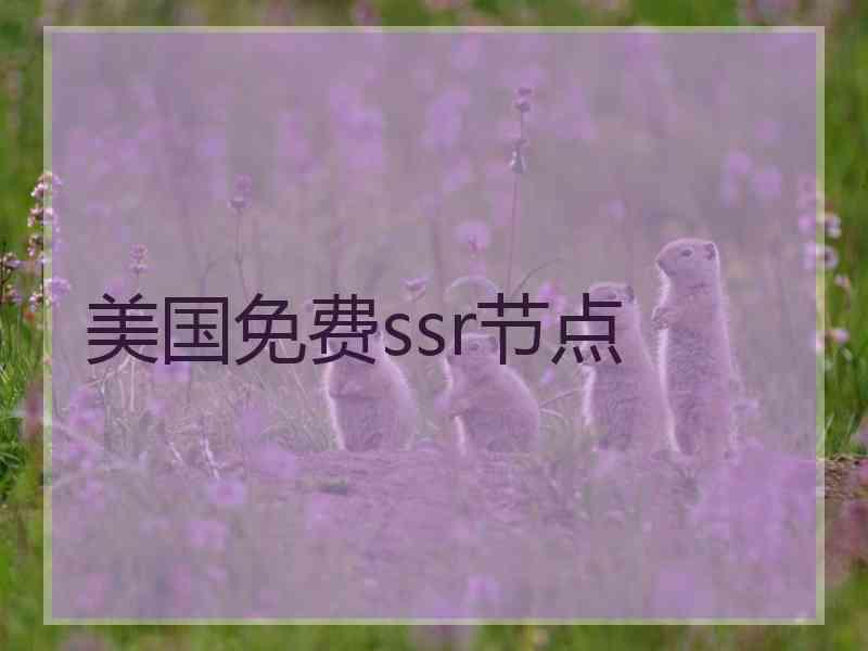 美国免费ssr节点