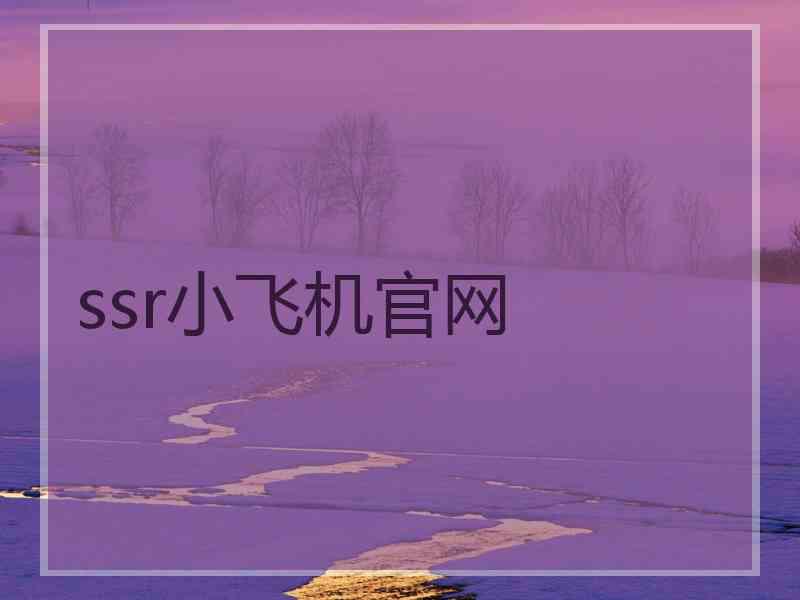 ssr小飞机官网
