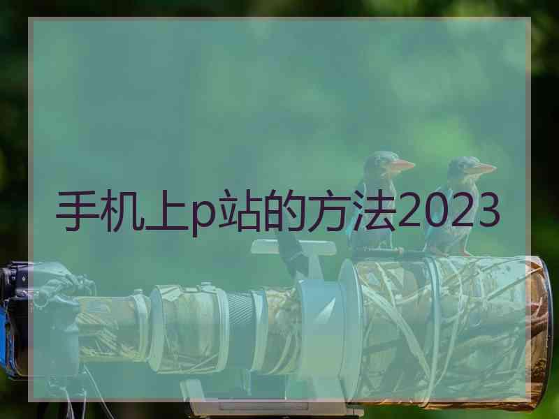 手机上p站的方法2023