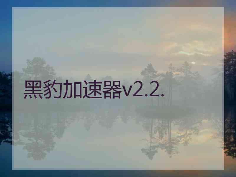 黑豹加速器v2.2.