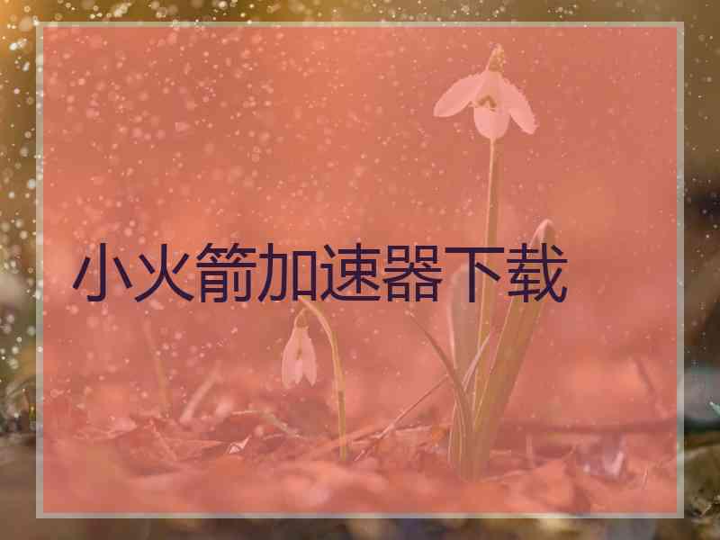 小火箭加速器下载