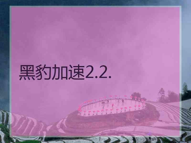 黑豹加速2.2.