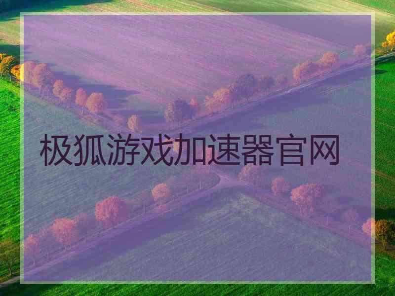 极狐游戏加速器官网