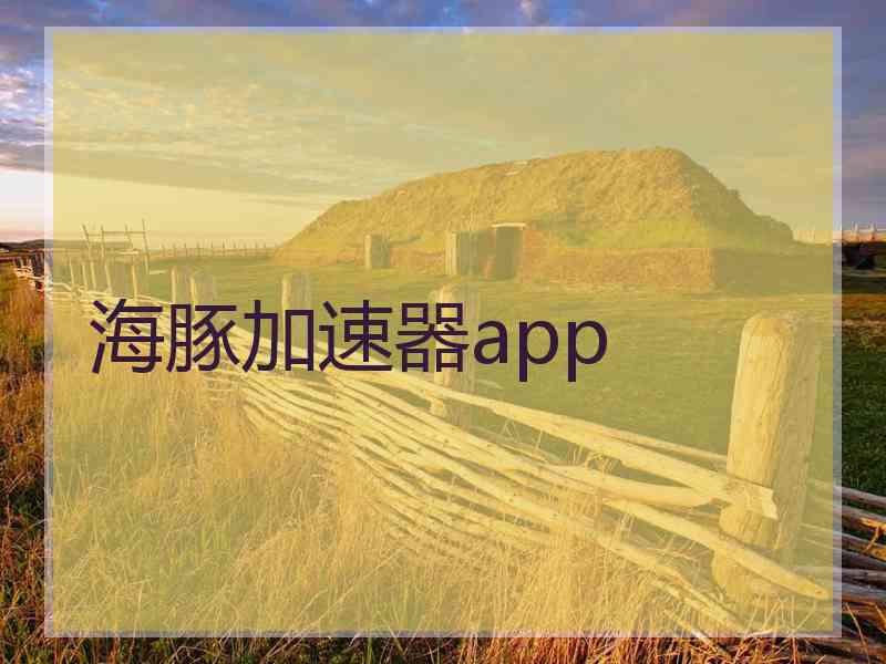 海豚加速器app