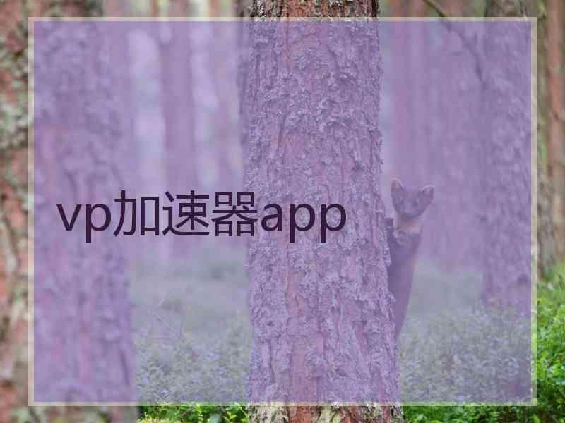 vp加速器app