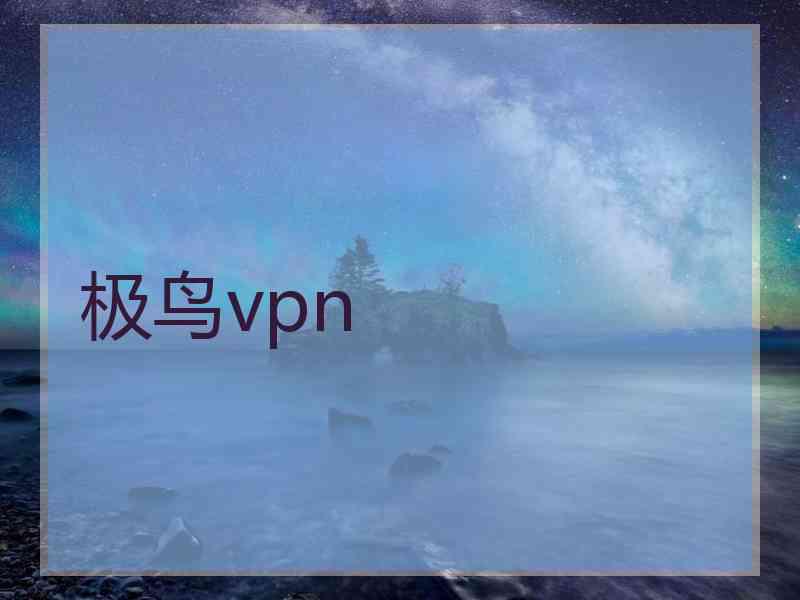 极鸟vpn