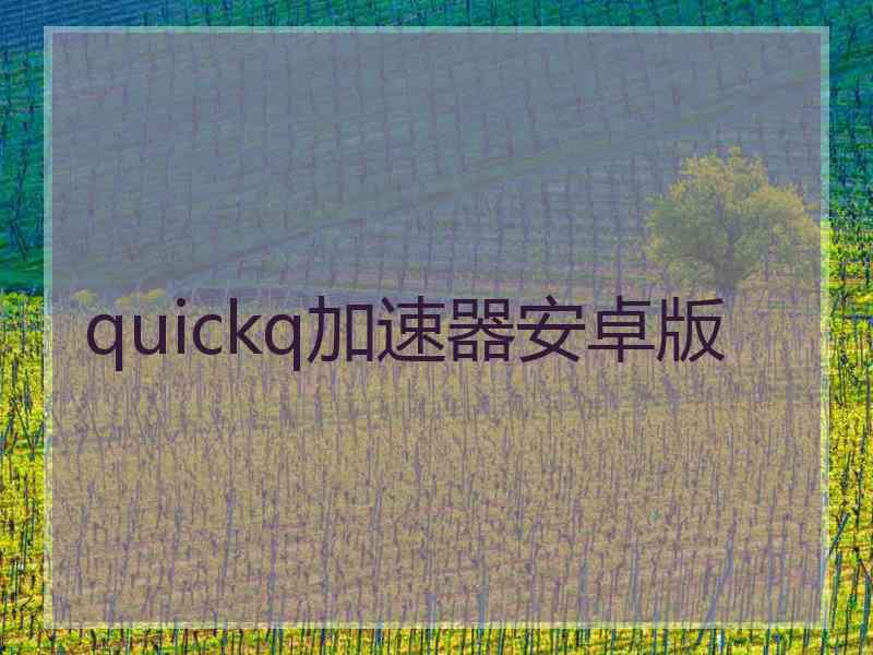 quickq加速器安卓版