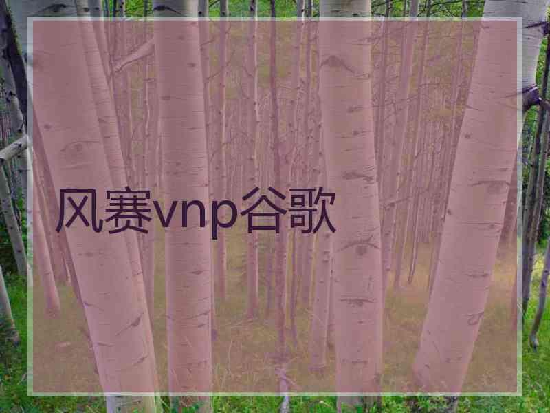 风赛vnp谷歌