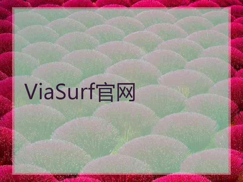 ViaSurf官网