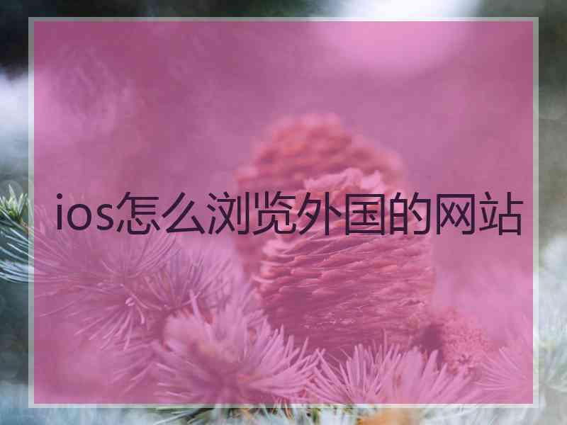 ios怎么浏览外国的网站