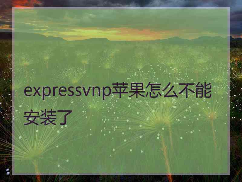 expressvnp苹果怎么不能安装了