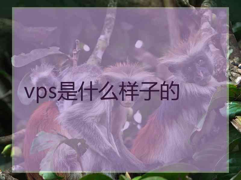 vps是什么样子的