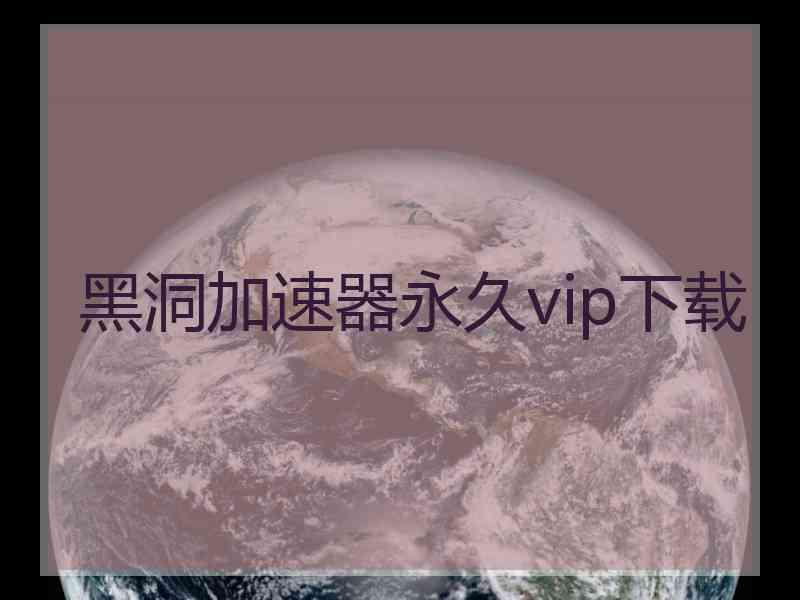 黑洞加速器永久vip下载