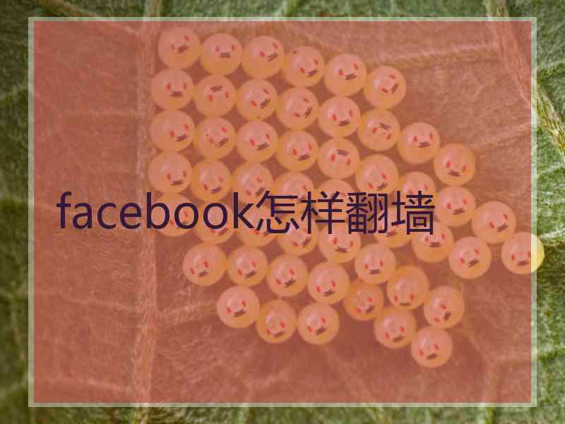 facebook怎样翻墙