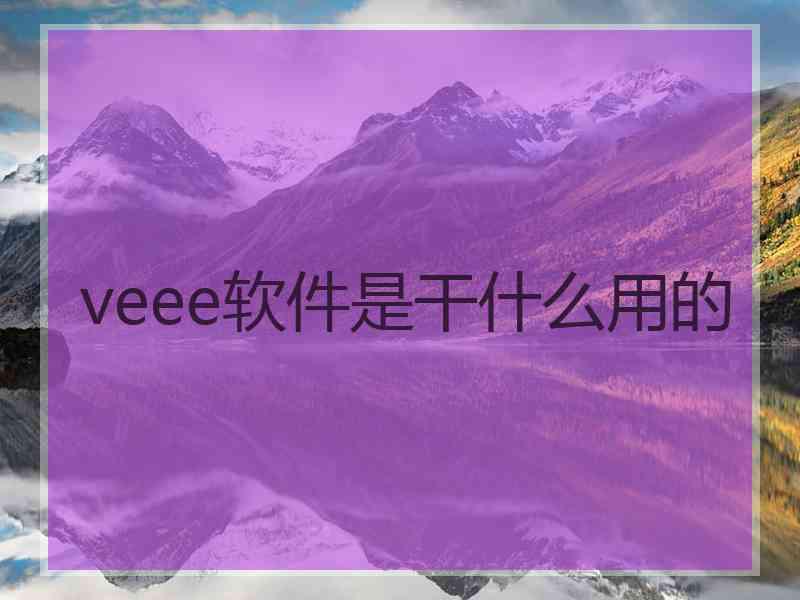 veee软件是干什么用的