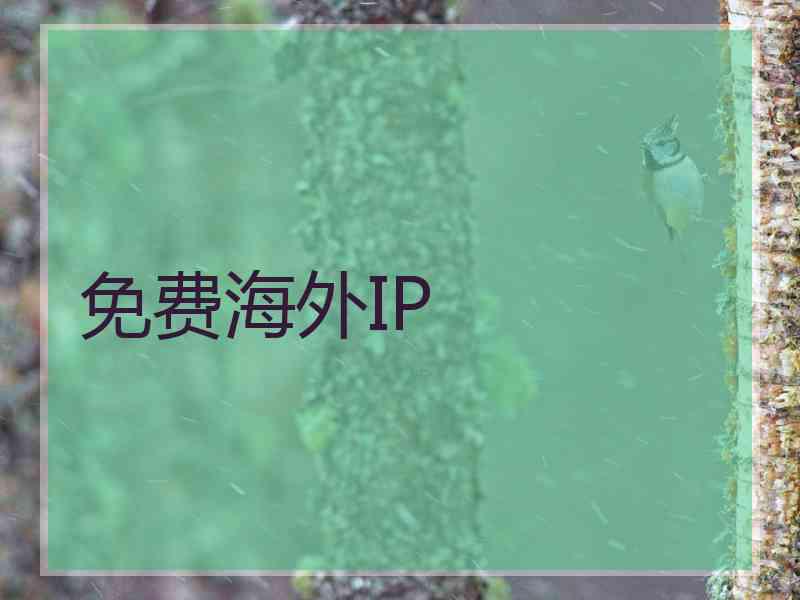 免费海外IP