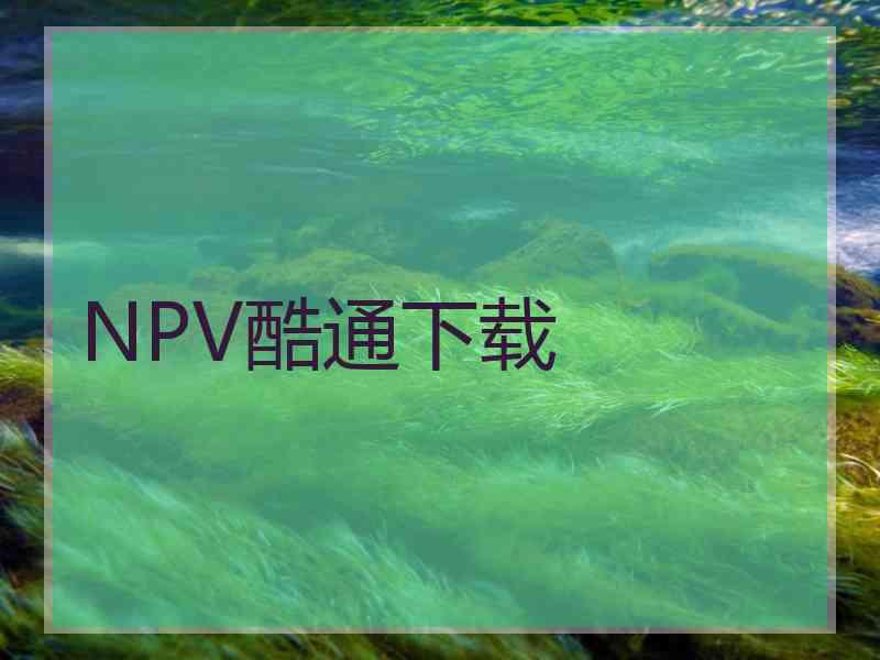 NPV酷通下载