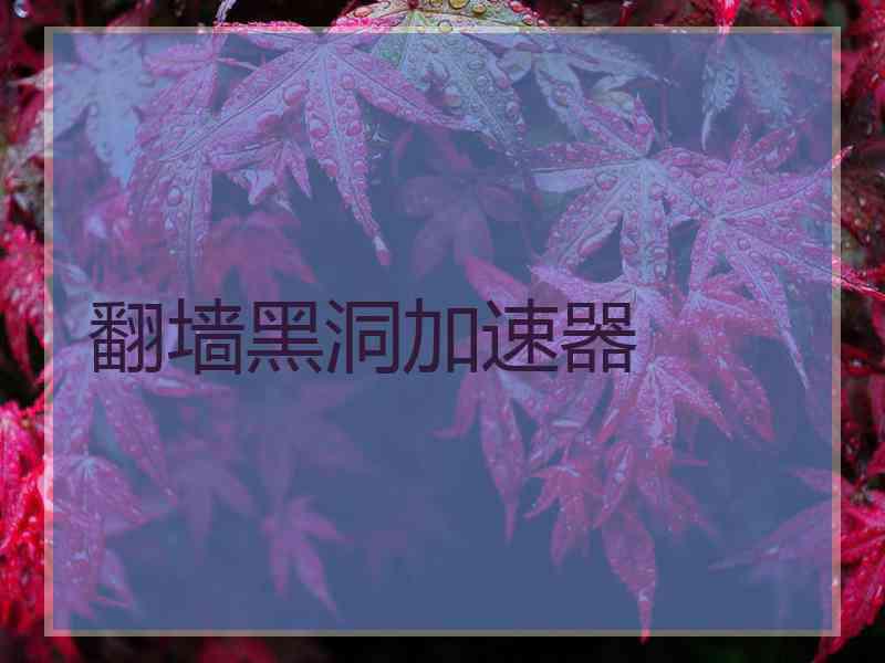 翻墙黑洞加速器