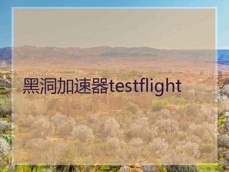 黑洞加速器testflight