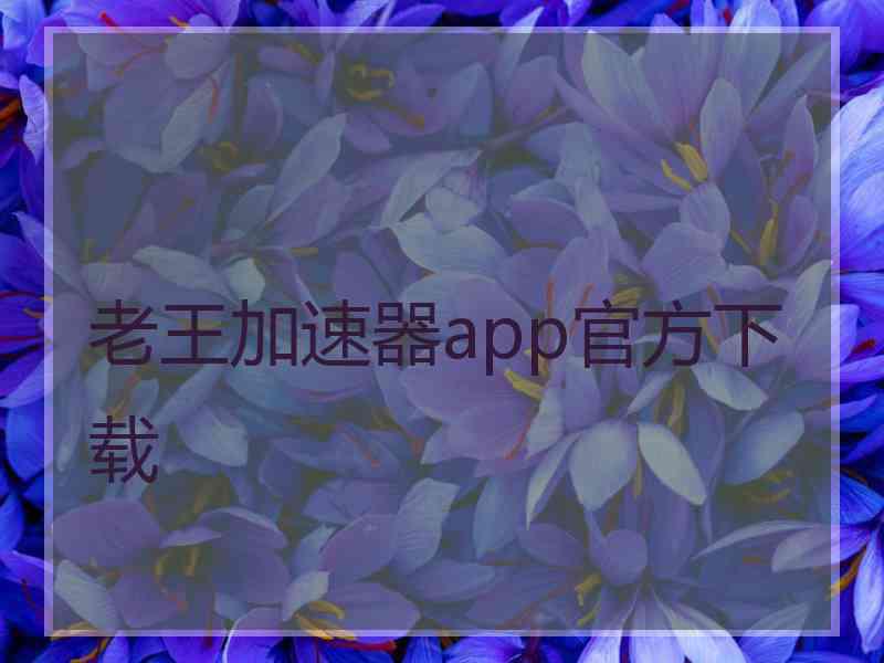 老王加速器app官方下载