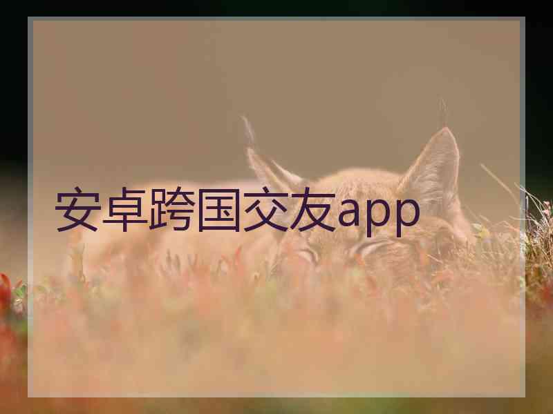 安卓跨国交友app