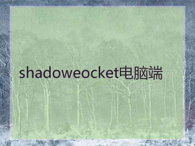 shadoweocket电脑端