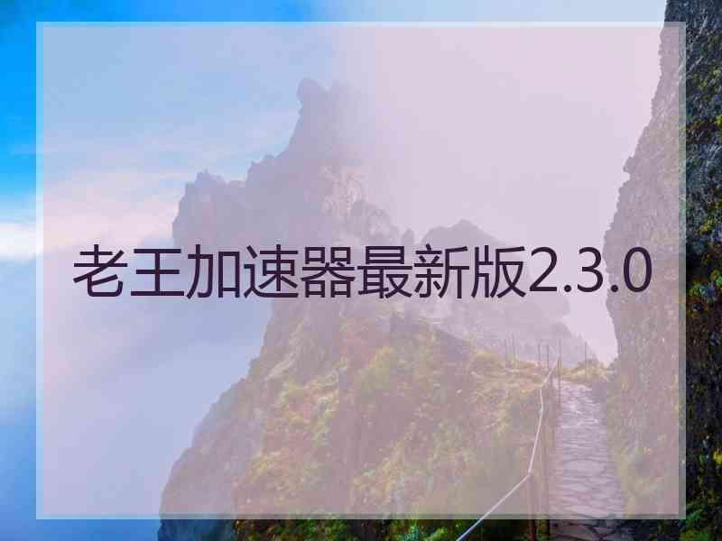 老王加速器最新版2.3.0