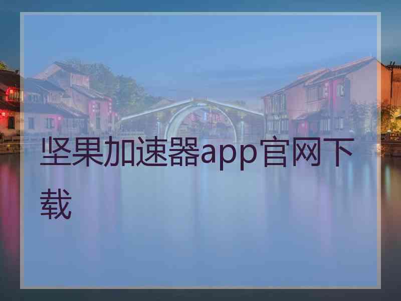 坚果加速器app官网下载