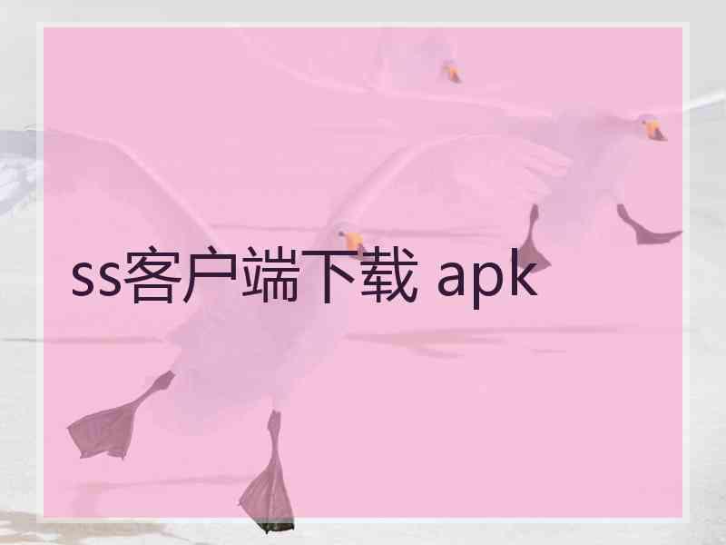 ss客户端下载 apk