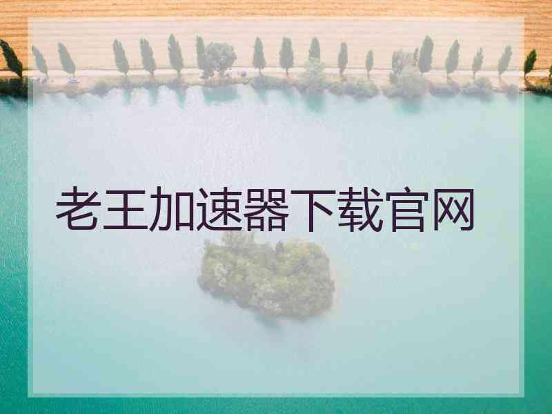 老王加速器下载官网