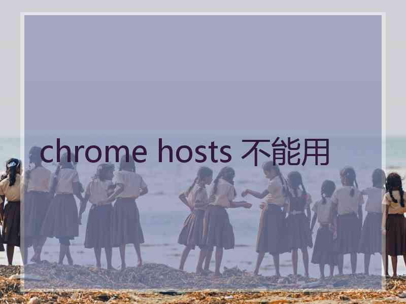 chrome hosts 不能用