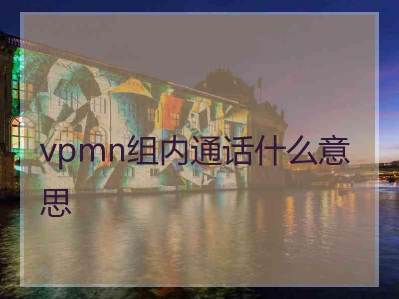 vpmn组内通话什么意思