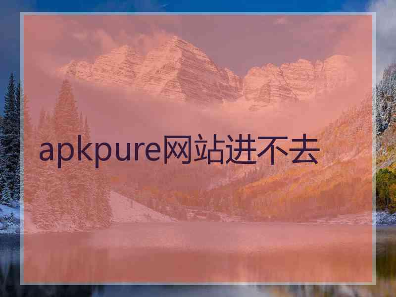 apkpure网站进不去