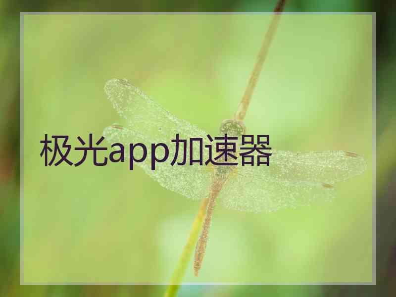 极光app加速器