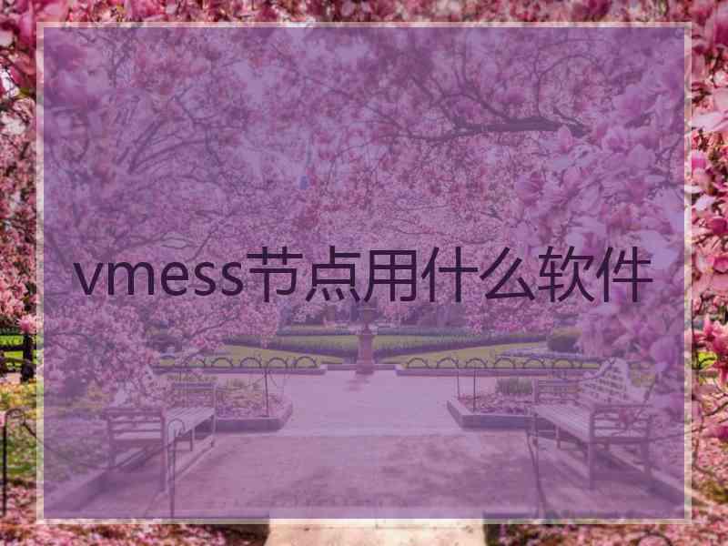 vmess节点用什么软件