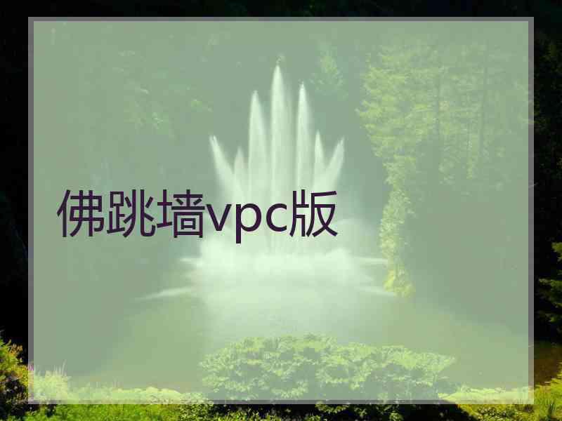 佛跳墙vpc版