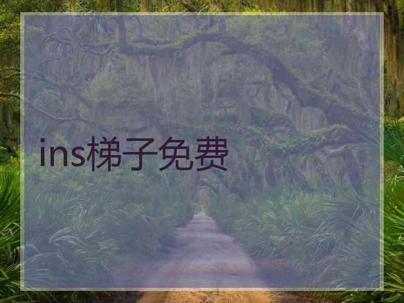 ins梯子免费