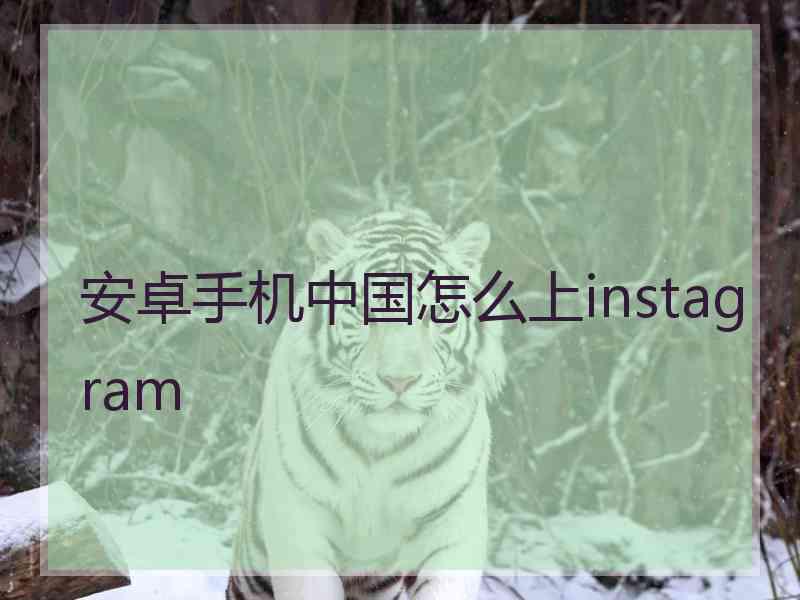 安卓手机中国怎么上instagram