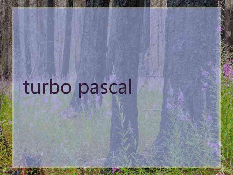 turbo pascal