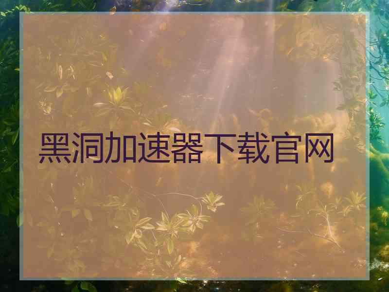 黑洞加速器下载官网