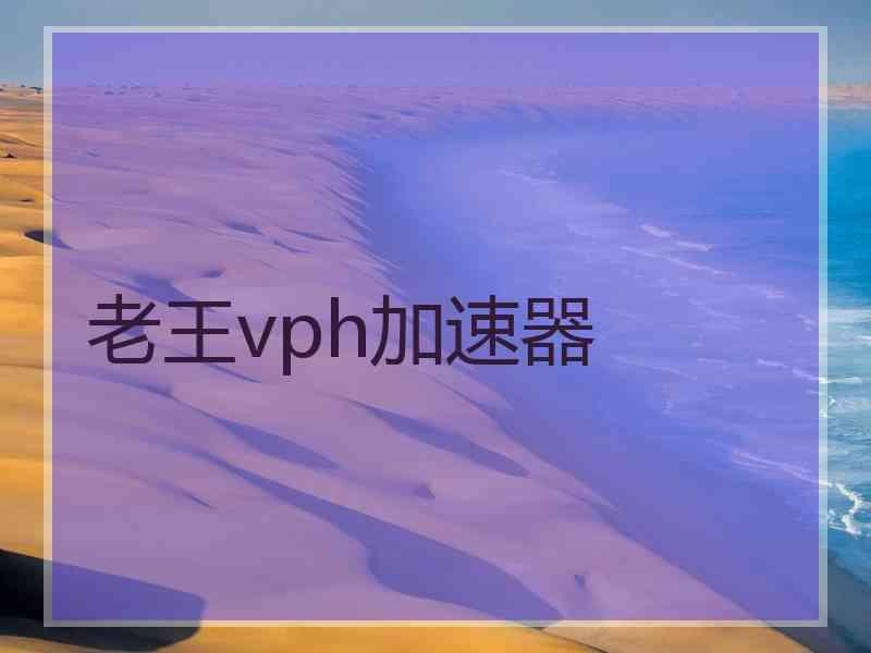 老王vph加速器