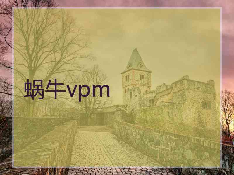 蜗牛vpm