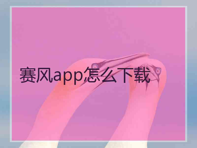 赛风app怎么下载