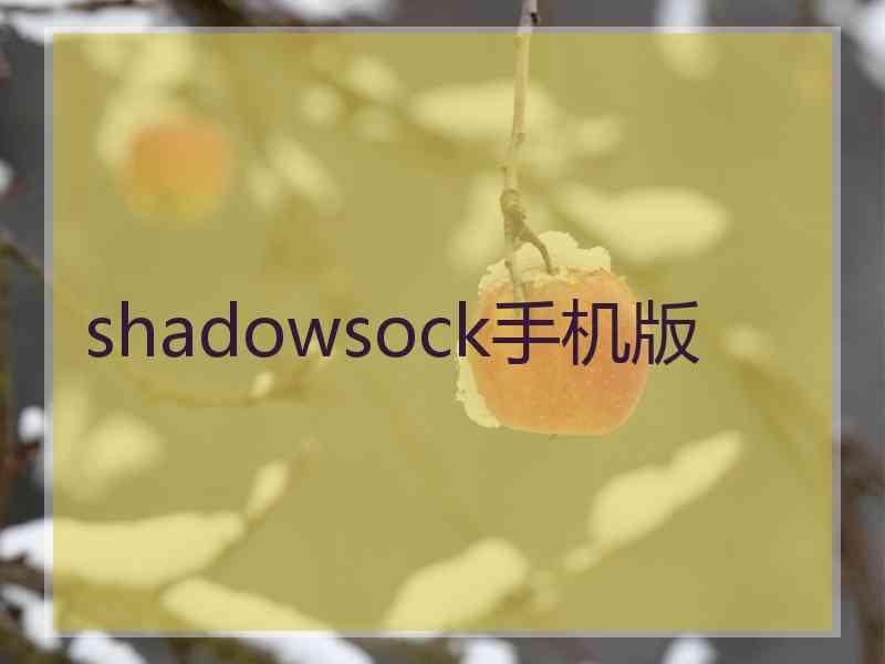 shadowsock手机版