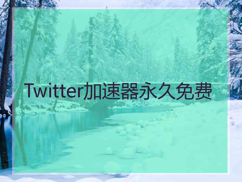 Twitter加速器永久免费