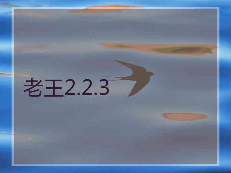 老王2.2.3