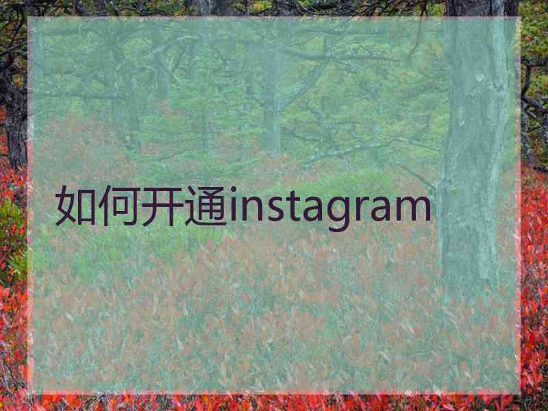 如何开通instagram