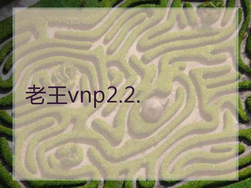 老王vnp2.2.